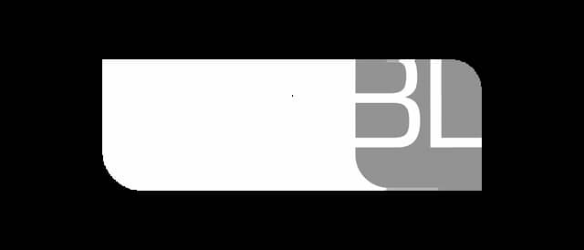 Logo Berger-Levrault