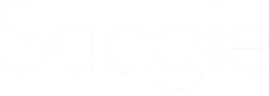 Logo Saagie