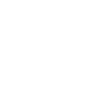 Braincube