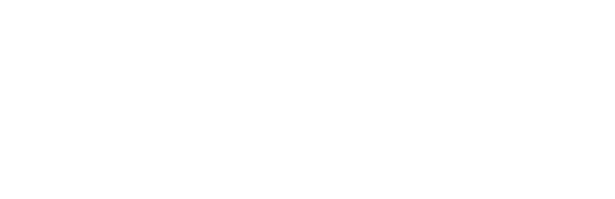 Logo Pallex France