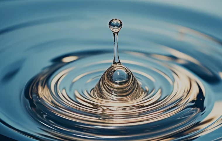 Cas client Best Water Technology France