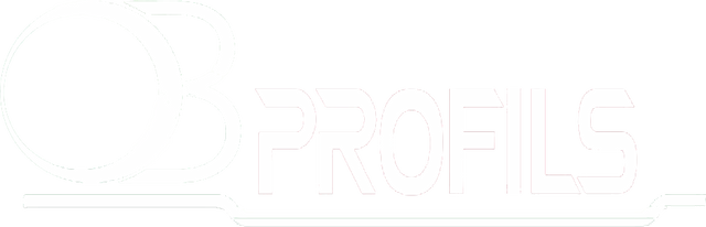 Logo OB Profils