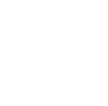 Wolf Lingerie