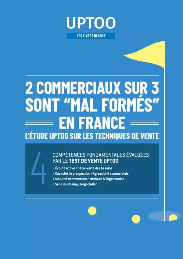 Formation des commerciaux : État des lieux en France