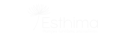 Logo Esthima