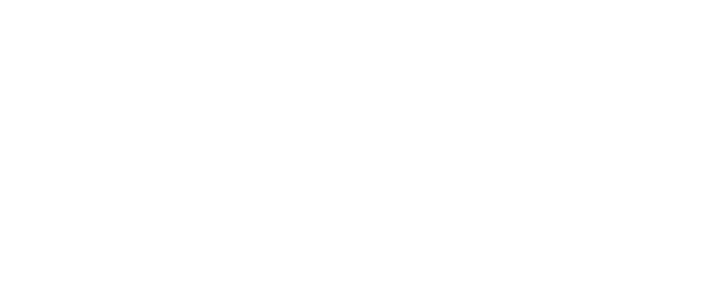 Logo STG